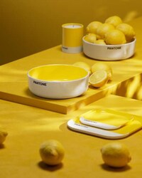 Food-Hued Serveware Image 3