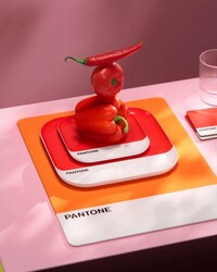 Food-Hued Serveware Image 5
