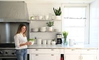 Interior Plant Design Services Image 2