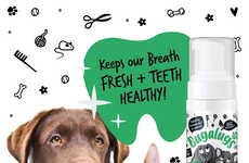 Pet-Friendly Dental Foams