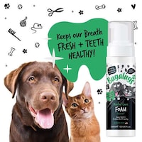 Pet-Friendly Dental Foams
