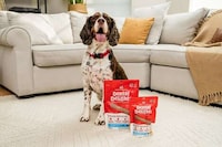 Movement-Based Dental Treats Image 1