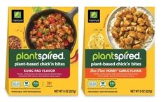 Plant-Based Asian Cuisine Bites Article Thubnail