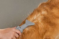 Smart Home Grooming Tools Image 4