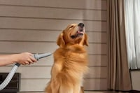 Smart Home Grooming Tools Image 5