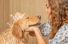 Pet Oral Care Essentials