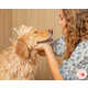 Pet Oral Care Essentials Image 1