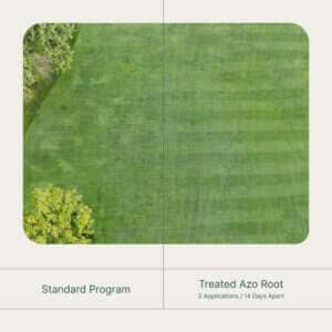 Growth-Enhancing Plant Solutions