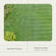 Growth-Enhancing Plant Solutions Image 1