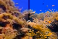 AI-Powered High-Res Editing Tools