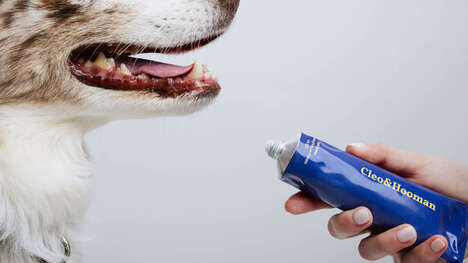 Sensitivity-Focused Dog Lines