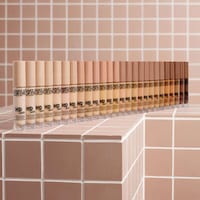Mushroom-Infused Concealers Image 1
