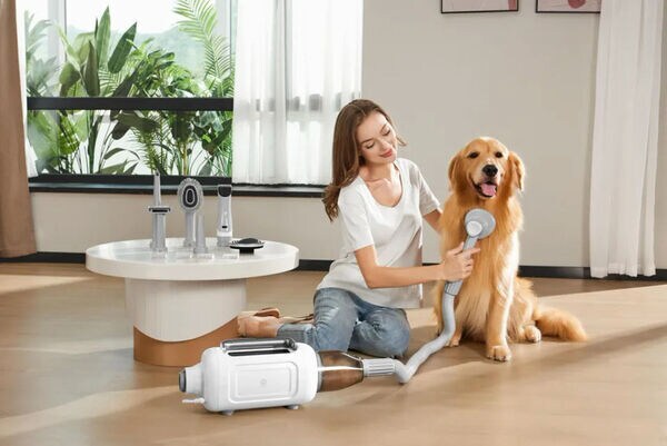 Top 40 Pets Trends in May