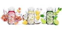 Summer-Inspired Sparkling Water Lines