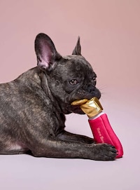 Makeup-Themed Dog Toys Image 1