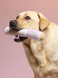 Makeup-Themed Dog Toys Image 2