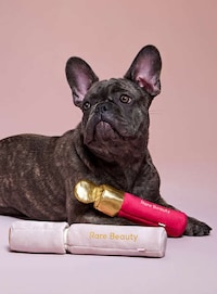 Makeup-Themed Dog Toys Image 4