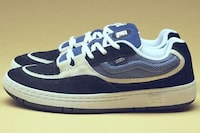 Retro Collaborative Skate Sneakers Image 3
