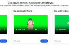 Feline Meme Makers