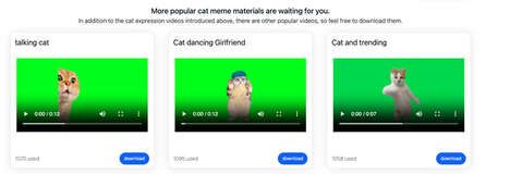 Feline Meme Makers