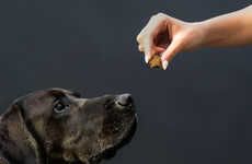 Gut-Friendly Dog Supplement Chews