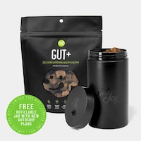 Gut-Friendly Dog Supplement Chews Image 2