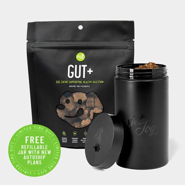 Gut-Friendly Dog Supplement Chews Image 2