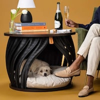 Integrated Pet Furniture Lines Image 1