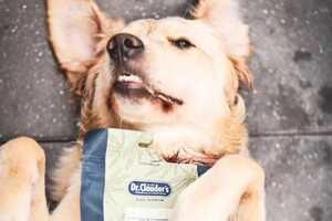 Cultivated Protein Dog Treats Article Thubnail