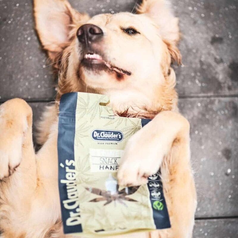 Cultivated Protein Dog Treats