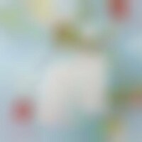 Organic Sunscreen Serums Image 1