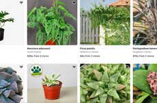 Aggregated Plant Retail Apps
