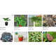 Aggregated Plant Retail Apps Image 1