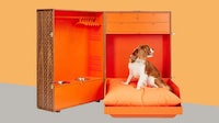 Posh Pooch Travel Trunks