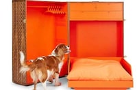 Posh Pooch Travel Trunks Image 2