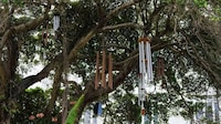 Chime Garden Installations