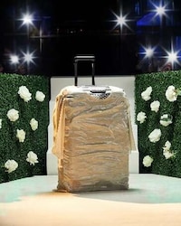 Fashion-Inspired Luggage Campaigns Image 4