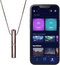 Anxiety Whistle Necklaces Image 1