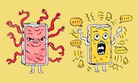 Phone Breakup Newsletters