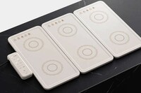 Modular Portable Cooktop Systems Image 6