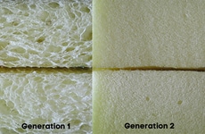 Bio-Based Foam Packaging