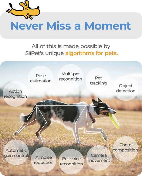Crowdfunded Pet-Monitoring Cameras