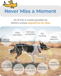 Crowdfunded Pet-Monitoring Cameras Image 1