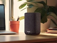 High-End Assistant-Free Speakers Image 1