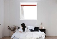 Portable Window Projection Systems