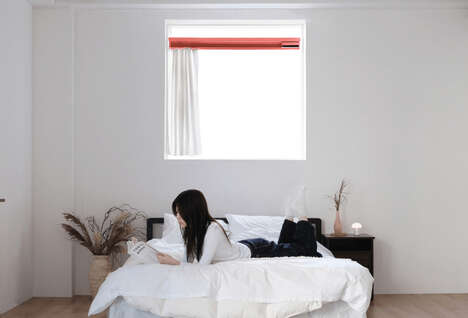 Portable Window Projection Systems