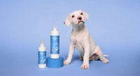 Haircare Brand Pet Products