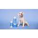 Haircare Brand Pet Products Image 1