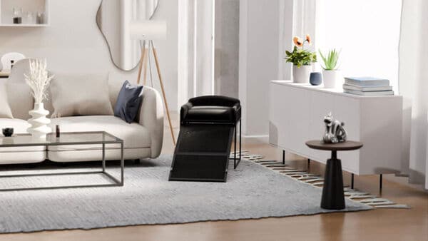 Elevated Pet Office Chairs