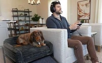 Elevated Pet Office Chairs Image 4